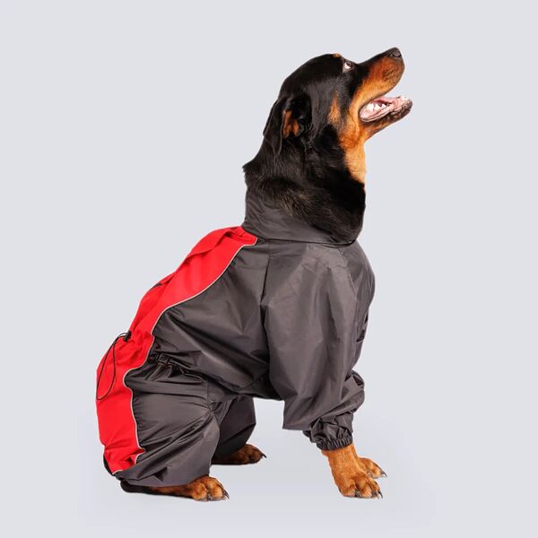 Дождевик для немецкой овчарки, 58x100x70 см, красный (мальчик)