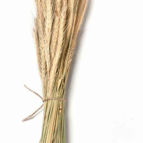 Сухой букет Колхоз Луч Рожь