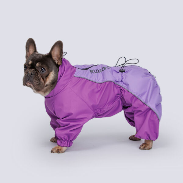 Дождевик для французского бульдога, 44x68x35 см, лаванда (девочка)