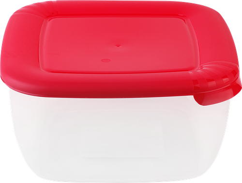 Контейнер 365 ДНЕЙ квадратный, пластик, 2.5л, Арт. 54404