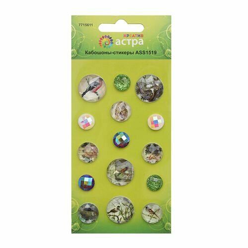 ASS1519 Кабошоны-стикеры, 15шт, Astra&Craft