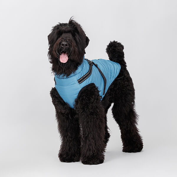 Попона теплая Rungo со шлейкой для собак, 3XL, синяя