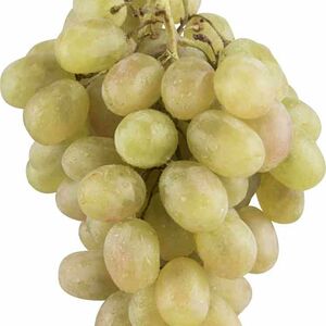 Виноград Тайфи, вес