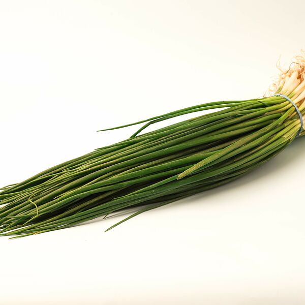 Зелёный лук 1 пучок