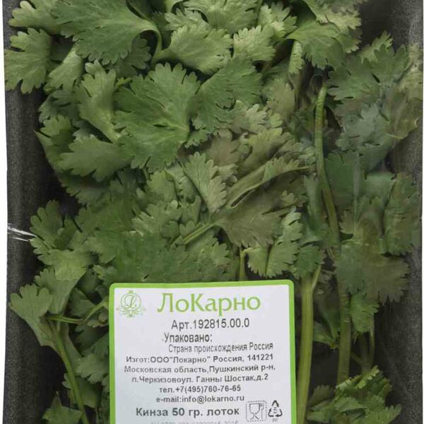 Кинза ЛоКарно