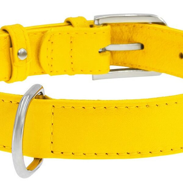 Collar ошейник кожаный Waudog Glamour без украшений 38-49 см., Желтый