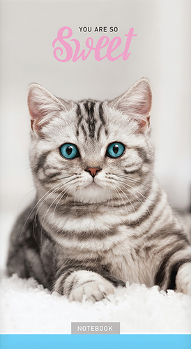 

Блокнот ArtSpace домашние любимцы, А6, 24 листа, на скрепке, в ассортименте