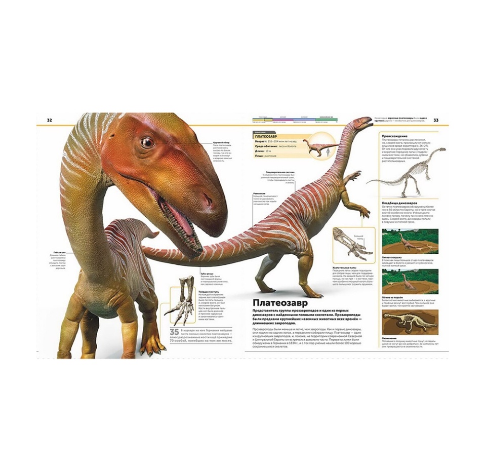 

Книга «Динозавры. Самая полная современная энциклопедия» Вудворт Джон, «МИФ», Россия