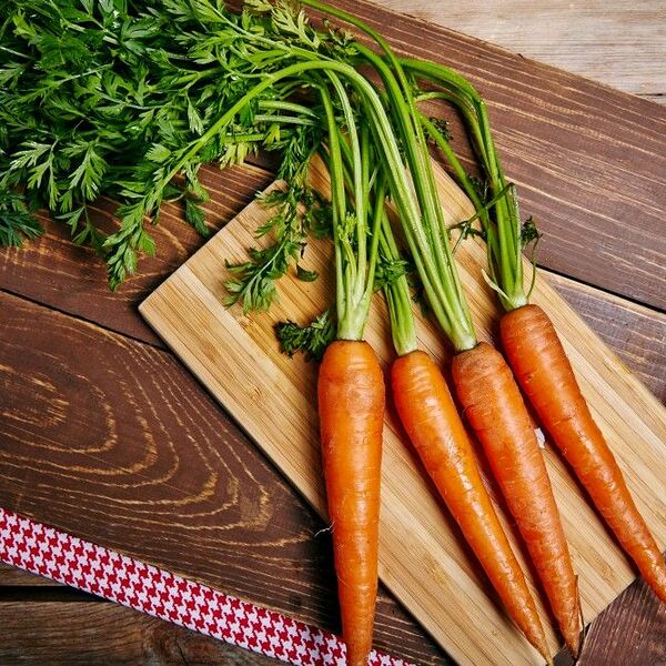 Морковь молодая с ботвой, 1 пучок