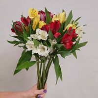 Изображение 4