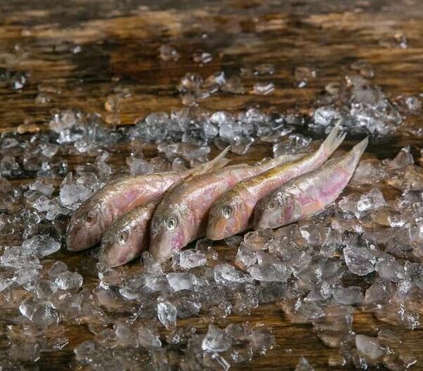 Барабулька Черноморская свежемороженая