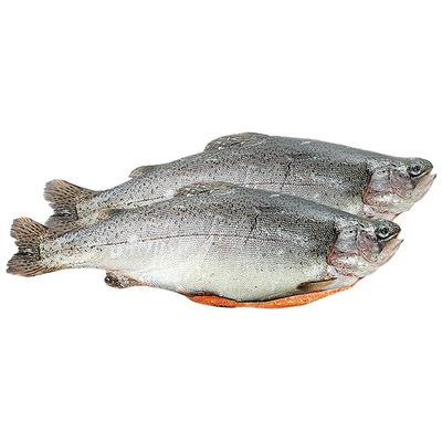 Форель Радужная розовое мясо охлажденное, 1-2 кг