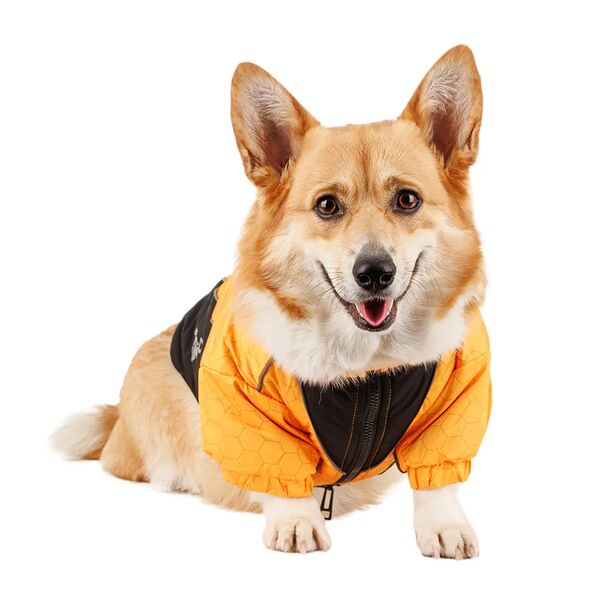 Куртка на молнии для собак 2XL желтый (унисекс)