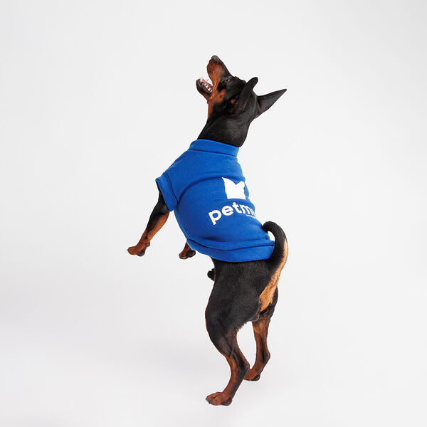 Толстовка для собак, L, синяя
