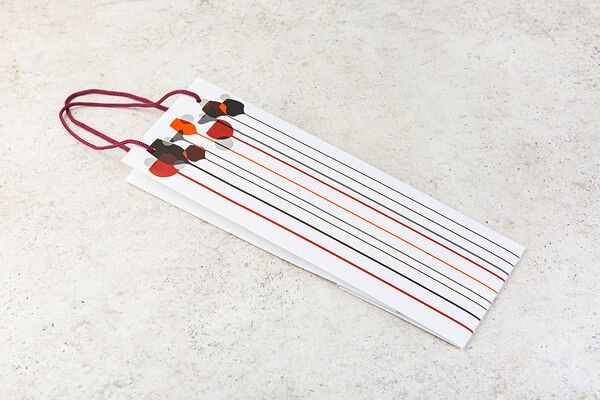 Пакет бумажный (400х100х100 мм.) под бутылку, в ассортименте_РП