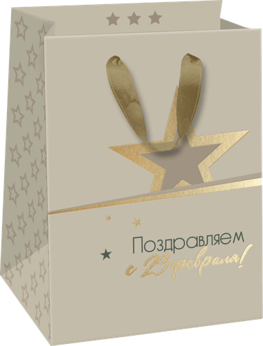 

Пакет подарочный Kvant 7, 14х19х11см, с тиснением Арт. SMT, в ассортименте