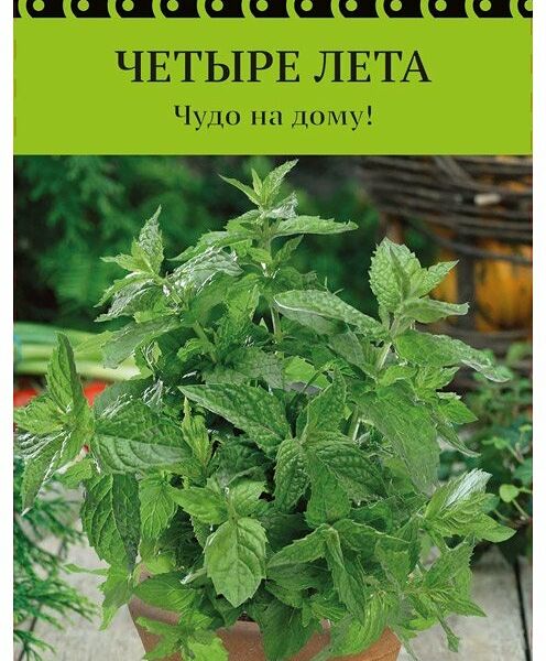 Семена Поиск Мята Овощная забава 20 шт