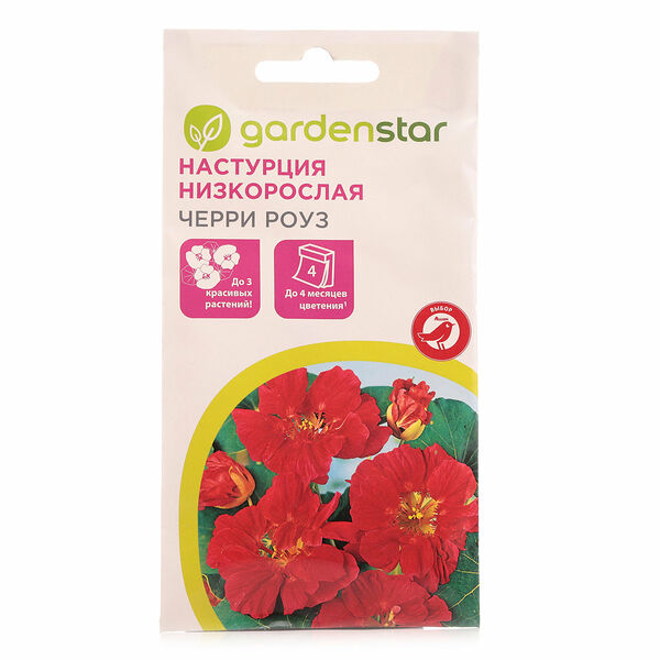 Настурция низкорослая Черри Роуз ТМ Garden Star (Гарден Стар)