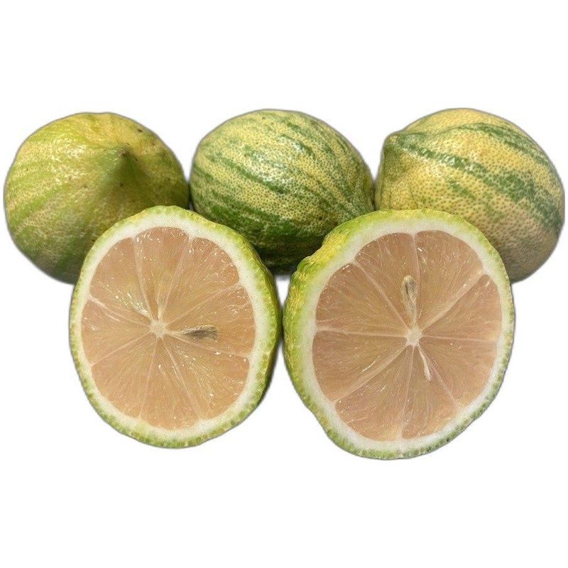 

Лимон розовый вес