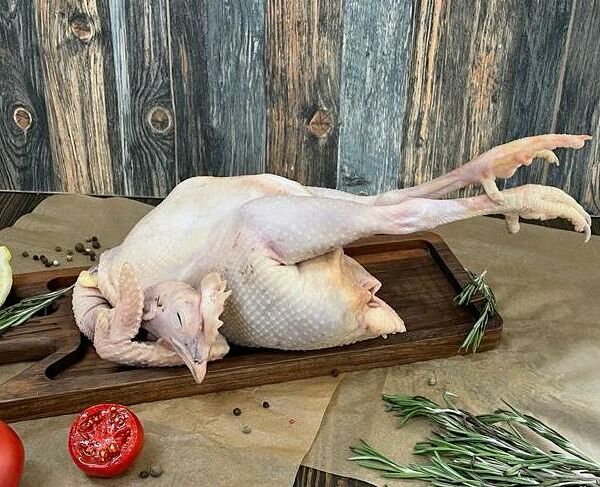 Петух суповой (Рязанская птица)