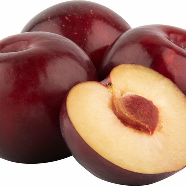 Слива красная, Турция