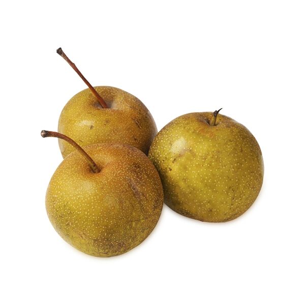 Груши Рогнеда весовые