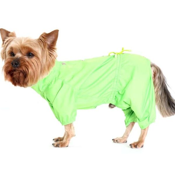 Дождевик для собак Yoriki р S салатовый для мальчика