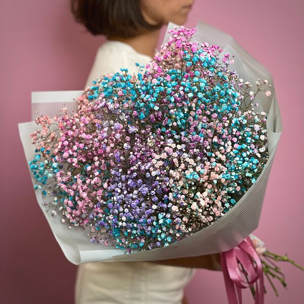 Гипсофила цветная 11 шт