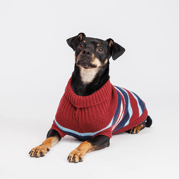 Свитер полосатый для собак, 45 см, бордовый