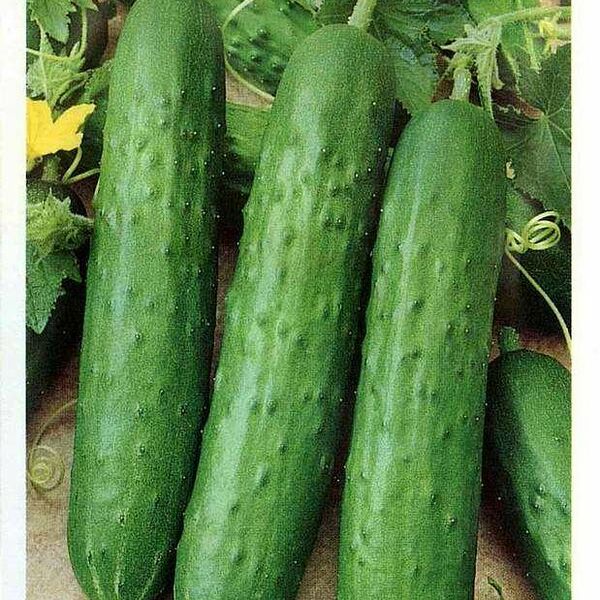 Семена Огурец Зозуля F1, 10 шт ТМ Гавриш