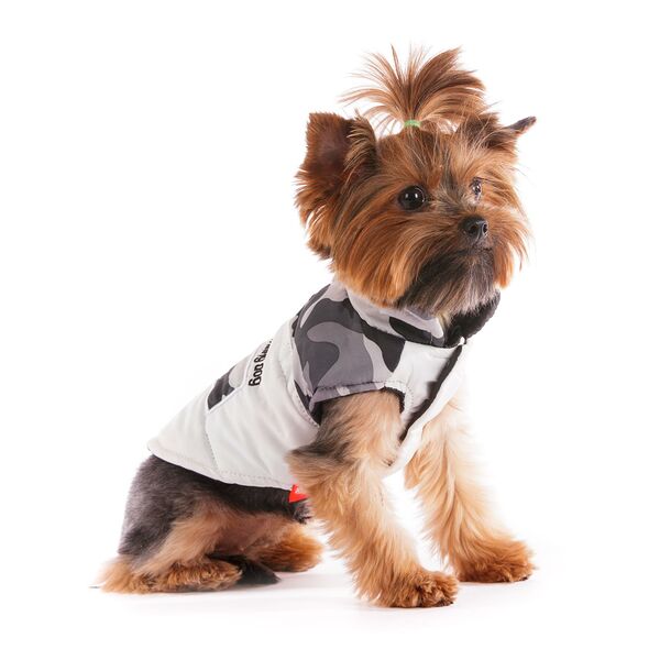 Куртка для собак Petmax XS белый (унисекс)