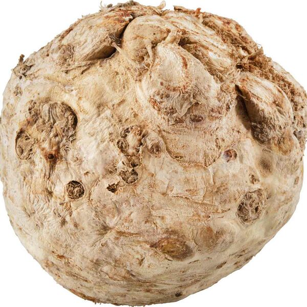 Корень сельдерея