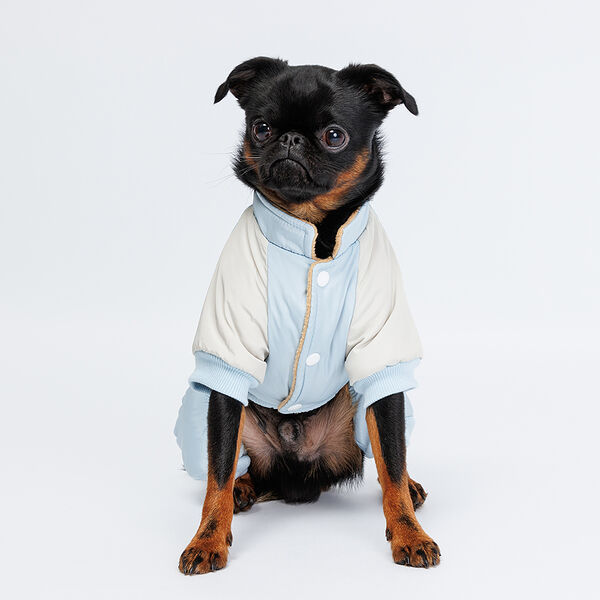 Комбинезон для собак Ушки, M, голубой