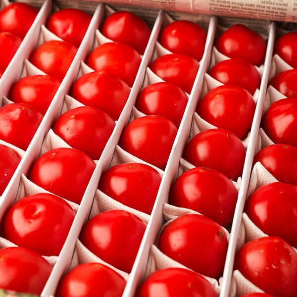 Помидоры Узбекистан мелкая