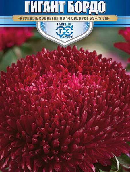 Семена Астра Гавриш Гигант бордо игольчато-коготковая однолетняя