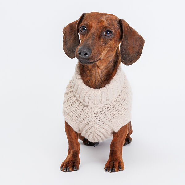 Свитер с узором для собак, S, бежевый