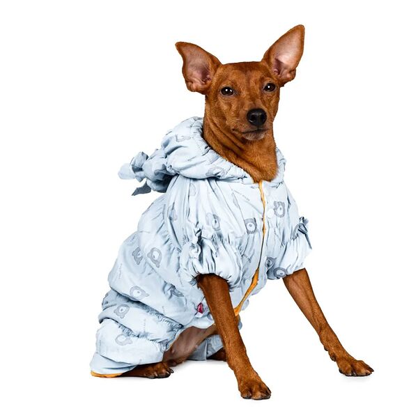 Комбинезон для собак S голубой (девочка)