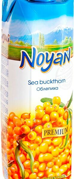 Нектар Noyan Облепиха 1л