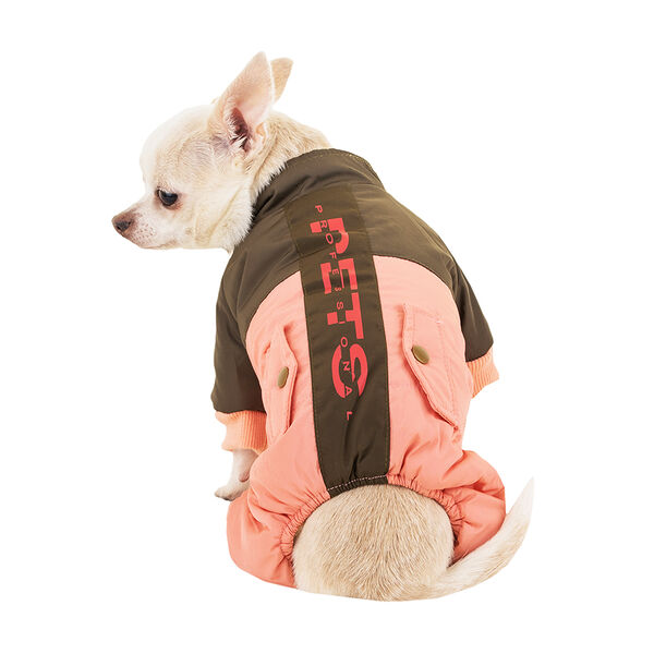 Комбинезон для собак Petmax, S, зеленый (унисекс)