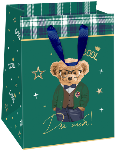 

Пакет подарочный Teddy SM 14х19х11см дизайн в ассортименте