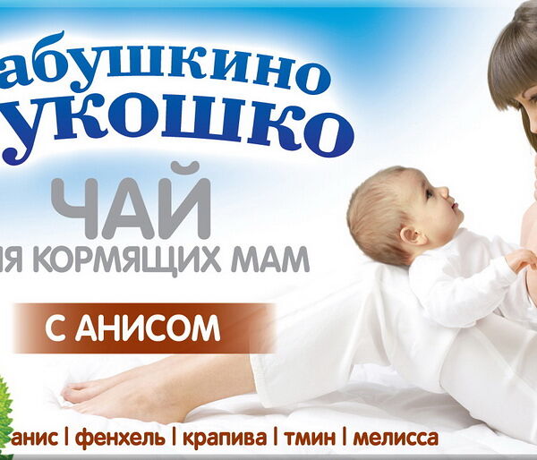 Чай трав д/кормящ жен Анис,фенхель,крапива,тмин,мелисса,клевер 20г Бабушкино Лукошко