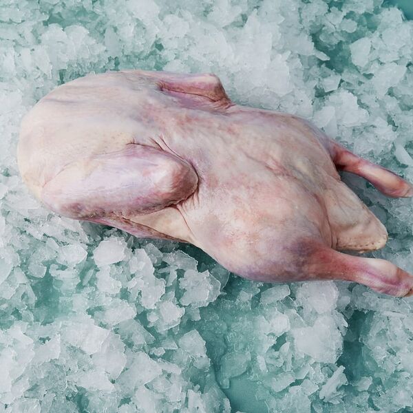 Утка тушка с/м