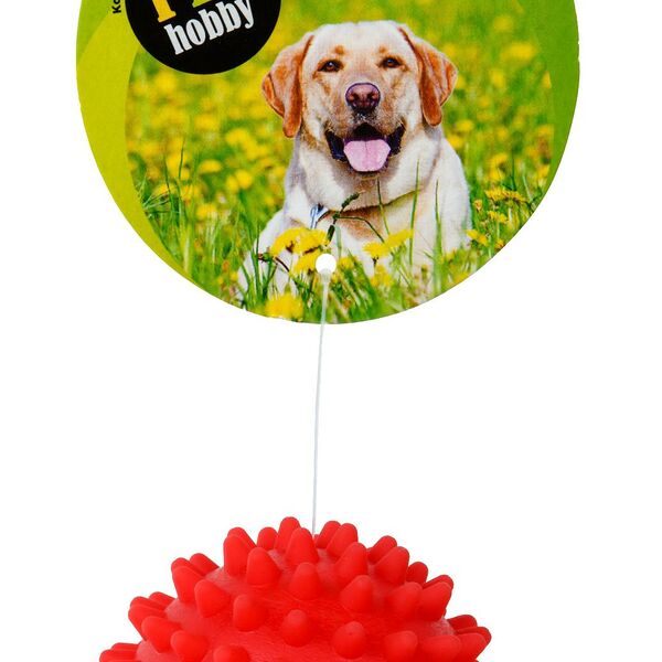 Игрушка для собак Мяч 5,5 см