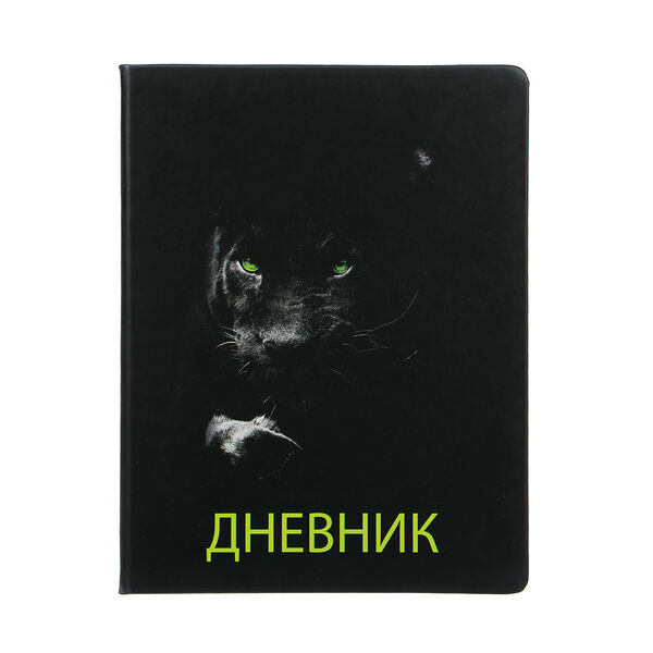 Дневник шк., а5+ (20,8*16,5см), 48л., 