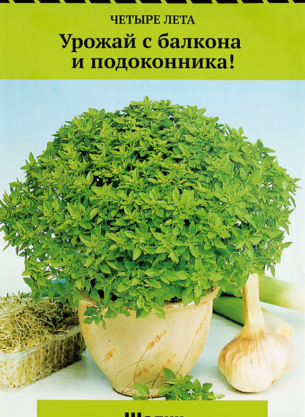 Семена Базилик Поиск Овощной шалун