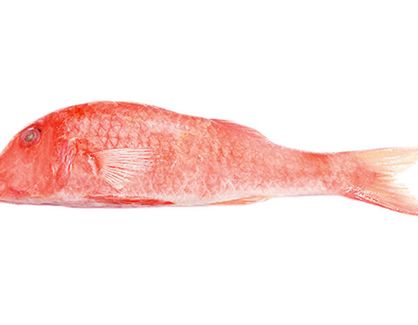 Барабулька Шри-Ланка охлаждённая