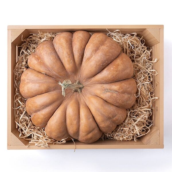 Тыква Мускатная желтая