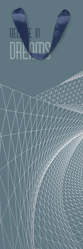 Пакет подарочный Мегаполис, под бутылку 13х36х8,5см, Арт. СБТ16, в ассортименте