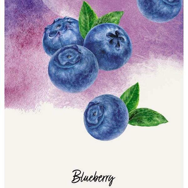 Тетрадь Listoff А4 в клетку