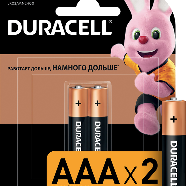 Батарейки Duracell LR03-2BL Basic AAA 2шт.